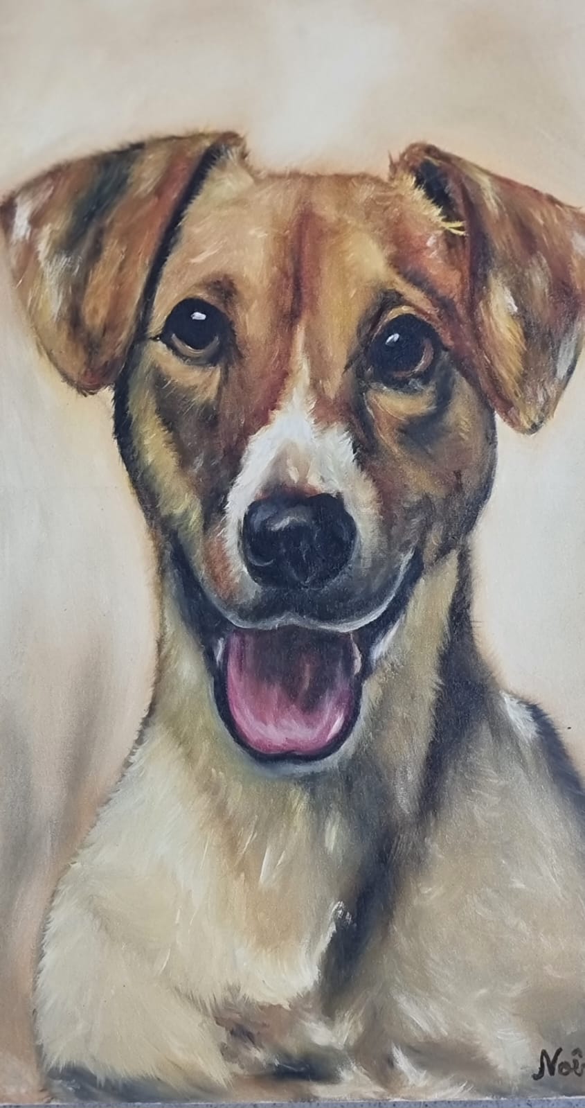 Pet